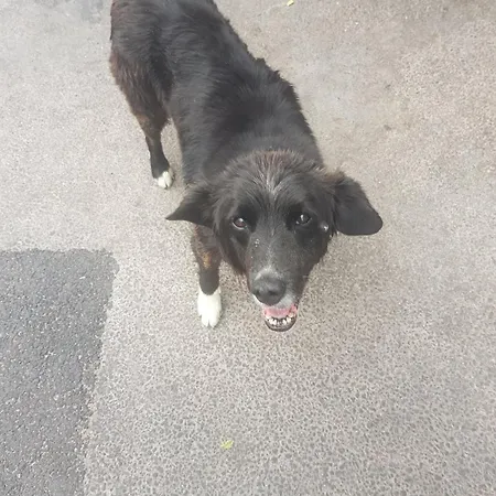 Coastguard At Tigh Tp *